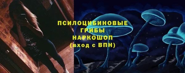 трава Михайловск