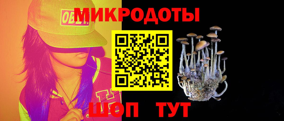 Псилоцибиновые грибы мицелий Симферополь